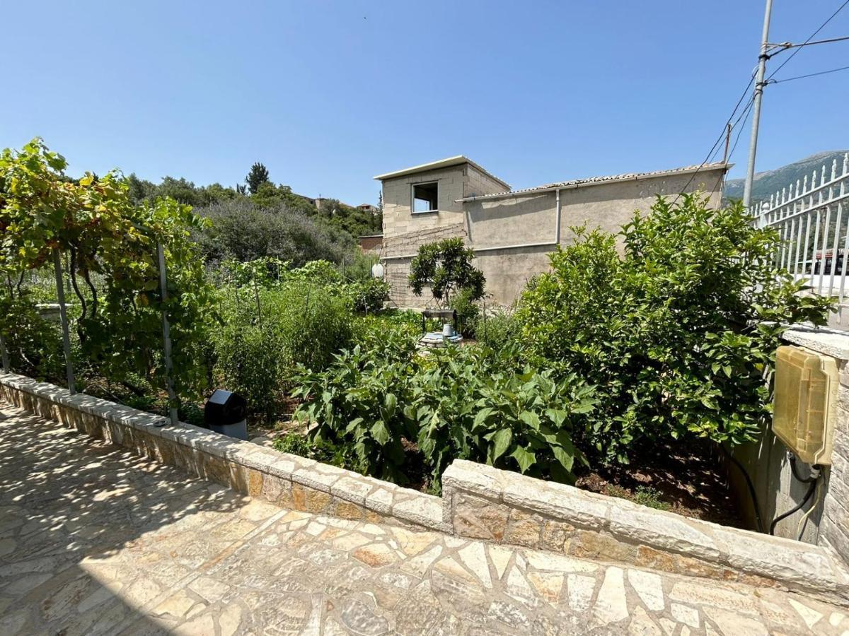 Garden Holiday Studios Himara Zewnętrze zdjęcie